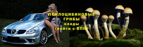 мяу мяу мука Абаза