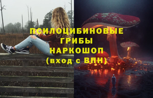 ешки Алексеевка