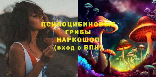 прущий лед Алексин